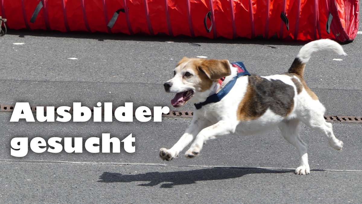 Feuerwehr Sömmersdorf: Ausbilder Trümmersuchhunde